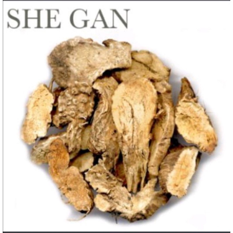 

600 G GR GRAM 射干 SHE GAN BELAMCANDA RHIZOME RHIZOMA BELAMCANDAE
