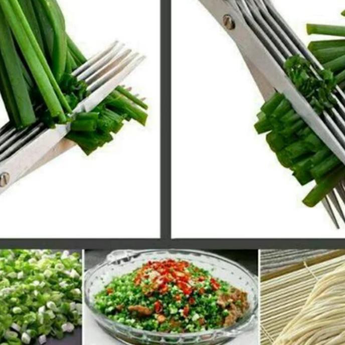 

Gunting Sayur 5 Lapis Herb Layer 5 Scissors Arnuno29 Segera Beli