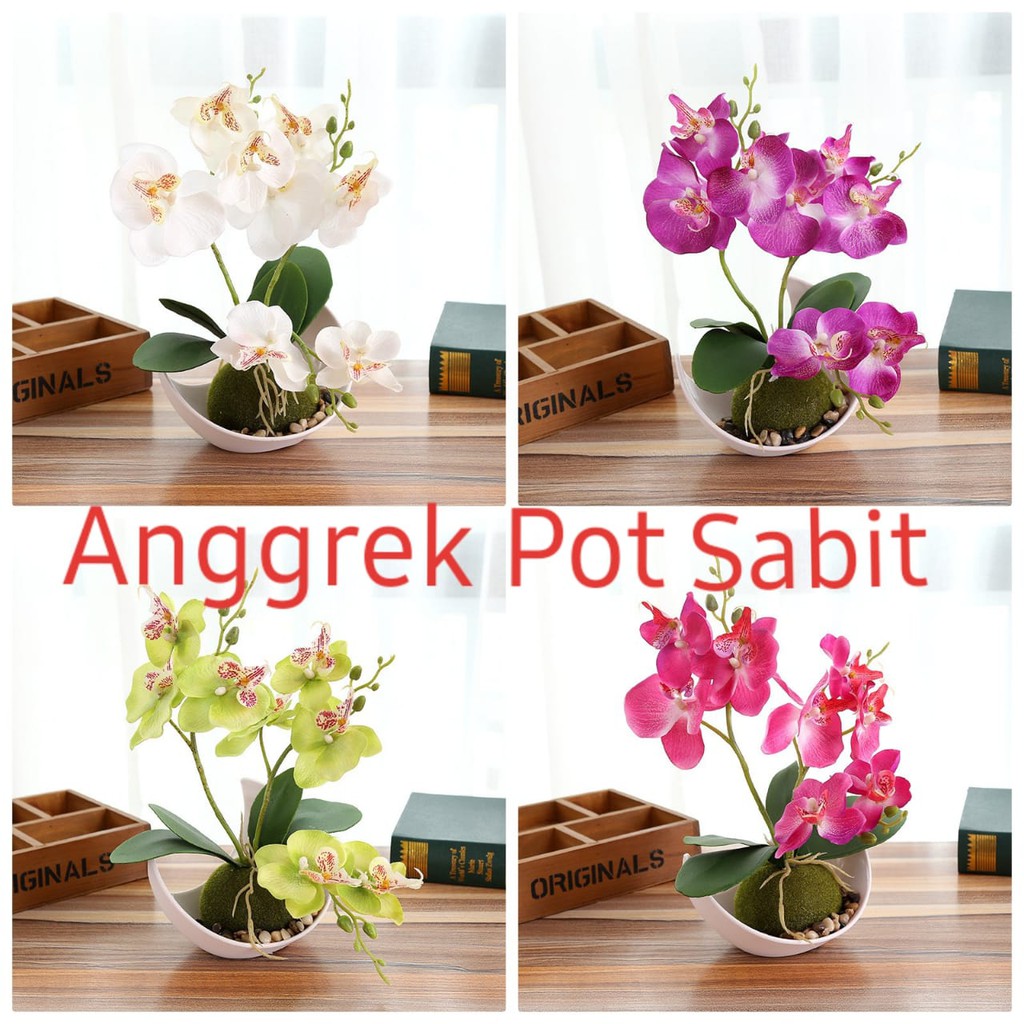 Bunga Anggrek Pot  Sabit  1kilo muat 4pcs Pajangan 