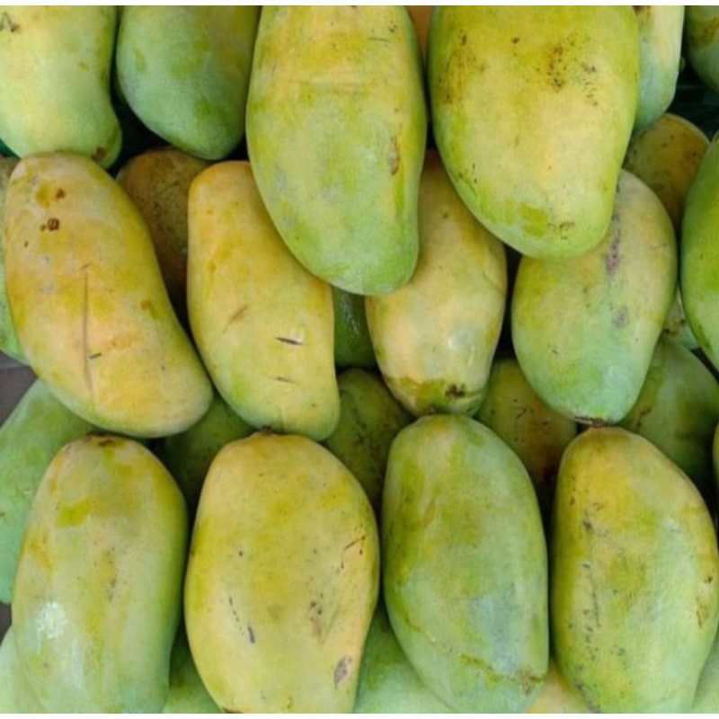 

Mangga Budiraja Fresh 1Kg