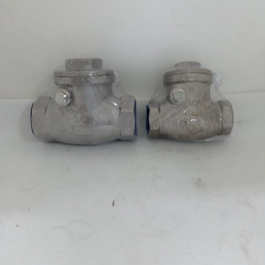 Swing Check Valve Drat Dlm Stainless SS 316 3/4 Inch