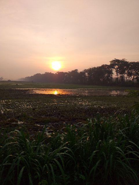 Aroma Kopi Kemeja Batik Pria Full Furing Bahan Katun Primisima Batik Solo Batik Pria Eksklusif