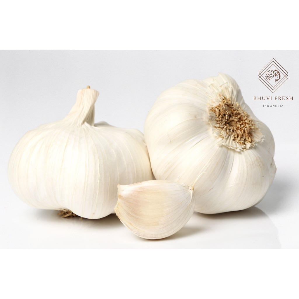 

Bawang Putih 500gr Fresh Murah