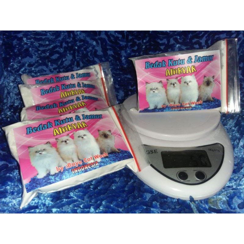 bedak kutu dan jamur kucing ambyar