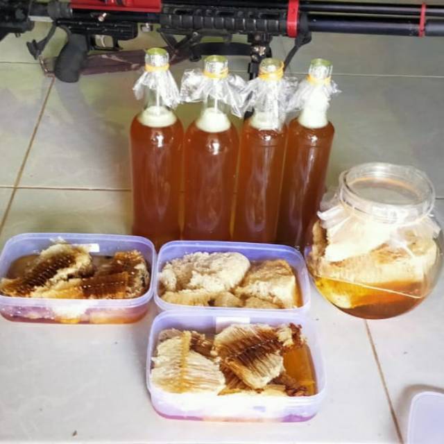 

Madu Hutan Liar Apis Dorsata Botol Marjan