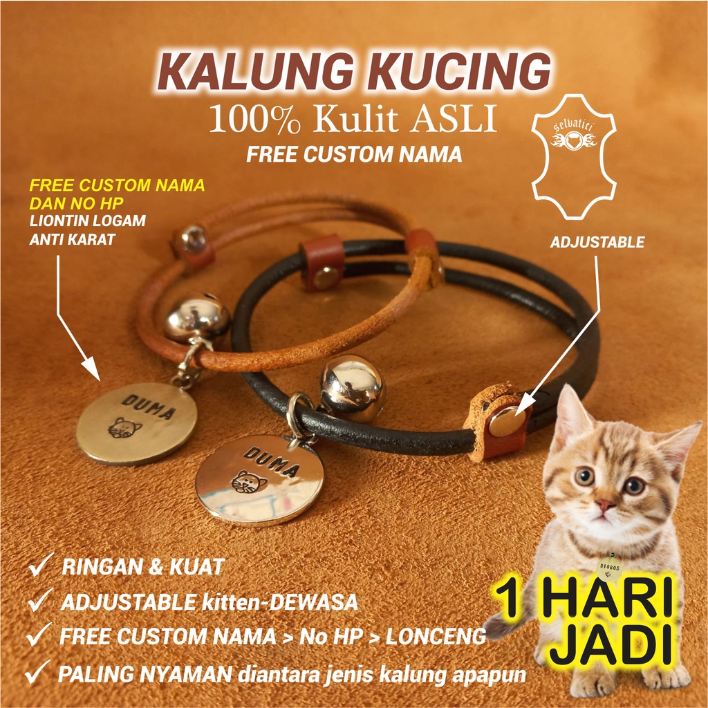 KALUNG KUCING NAMA CUSTOM FREE LONCENG UNTUK KITTEN dan KUCING DEWASA MODEL TALI KULIT ASLI