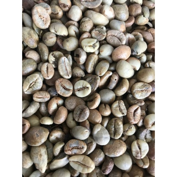 green bean biji kopi mentah robusta dempo pagaralam sumsel 1kg 1 kg