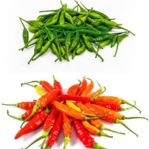 

Cabe / Cabai Rawit Merah / Cabe Rawit Hijau