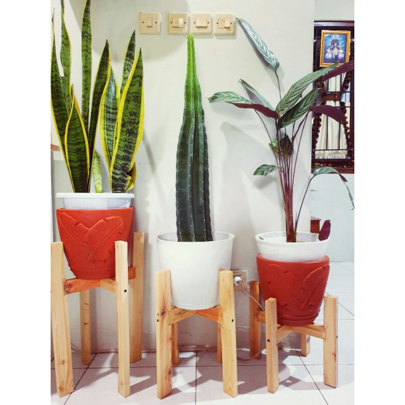 Standing Pot Kayu Jati Belanda