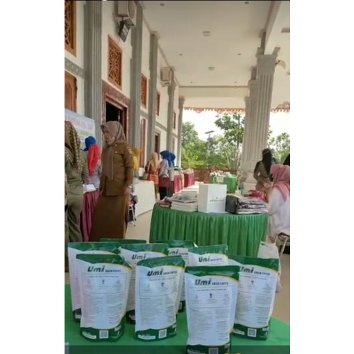 Umi green coffee kopi pelangsing