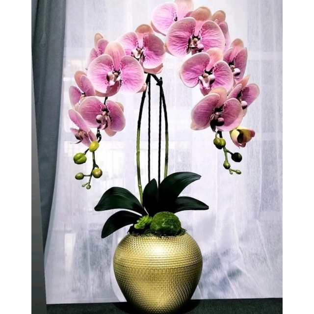 Rangkaian bunga anggrek latex super premium import isi 2 tangkai bunga