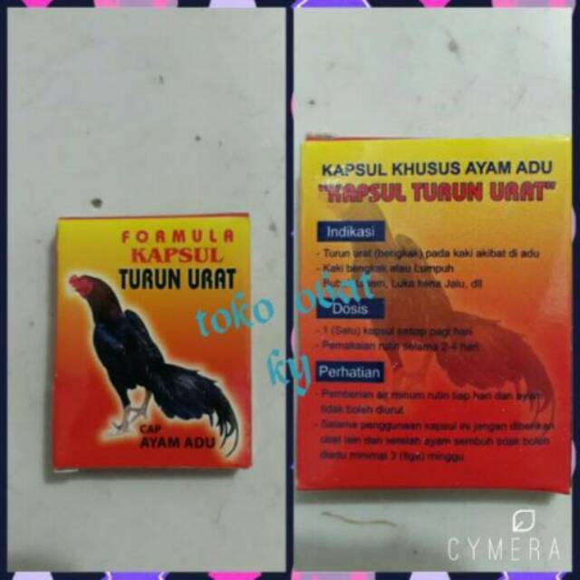 

Formula kapsul turun urat (kapsul turun urat khusus utk ayam adu) 5 dus