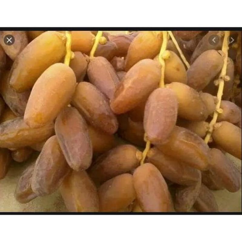 Kurma Tunisia Tangkai Curah 500gr