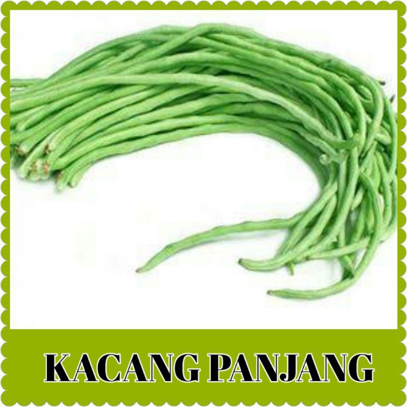 benih kacang panjang/bibit sayur kacang panjang