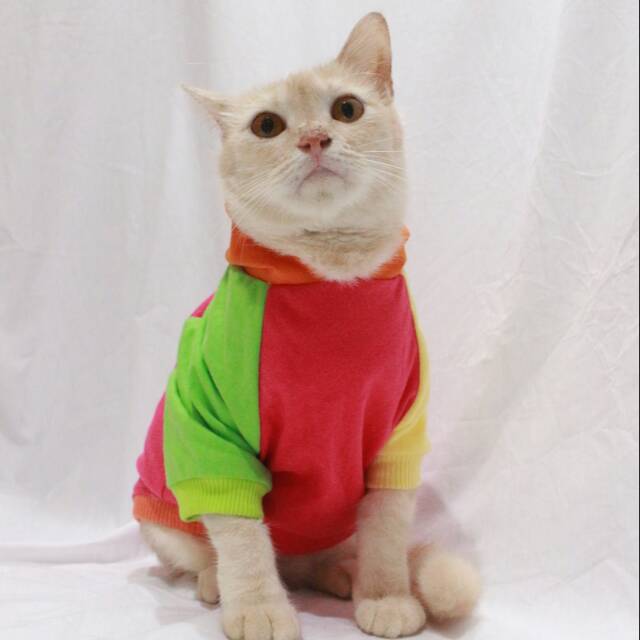 Kaos Jumper hoodie joker 1 untuk kucing dan anjing size S-XL / baju kucing terlaris 2019