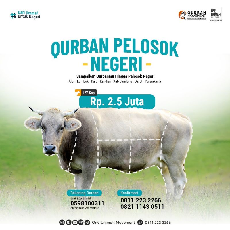 Qurban Sapi 1/7 pelosok (PENYALURAN)