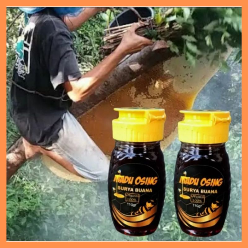 

( 2 BOTOL ) MADU OSING 100% ALAS PURWO
