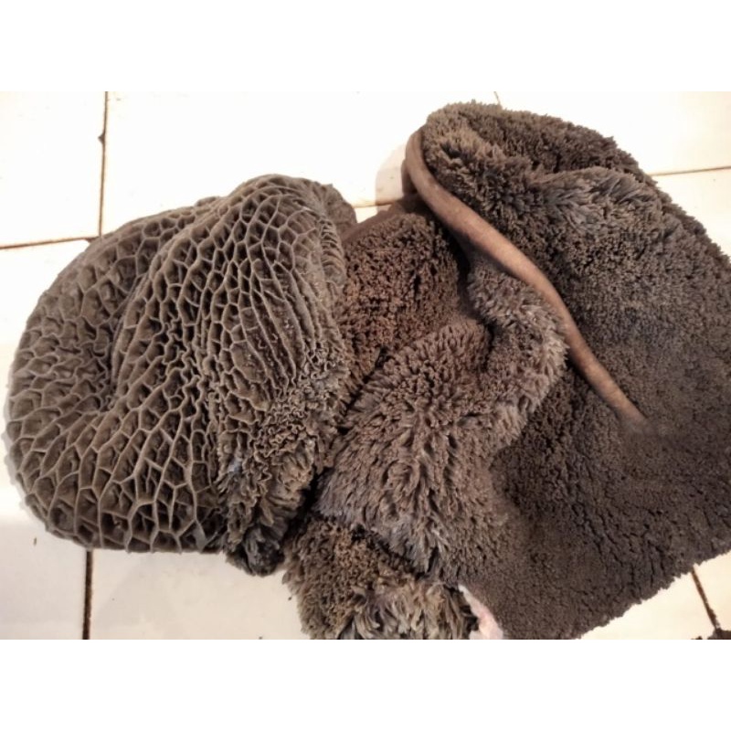 

Babat sapi hitam