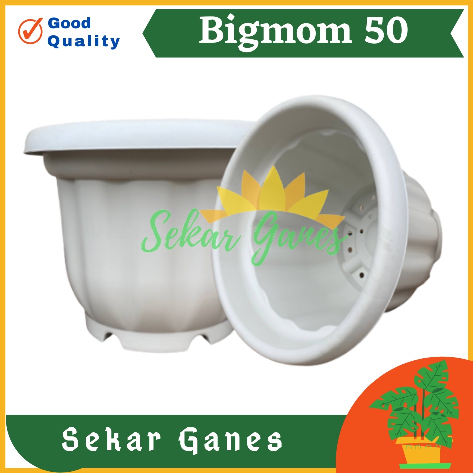 Pot Kuat 55 Putih - Pot Besar Jumbo Murah 50cm 60cm Pot Besar Plastik Bahan Tebal - Pot Bunga Jumbo Putih Murah Grosir