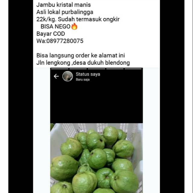 

Jambu kristal manis