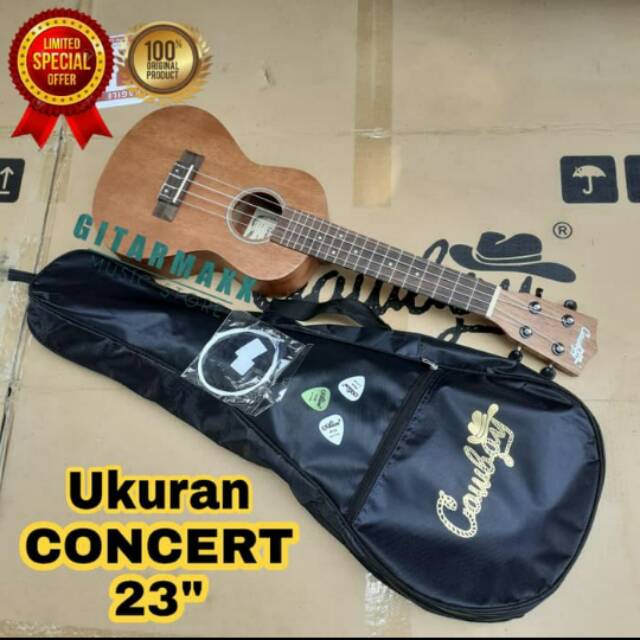 Ukulele concert Cowboy