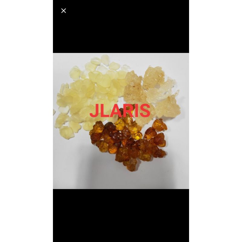 paket peachgum , biji teratai salju , sarang burung salju premium