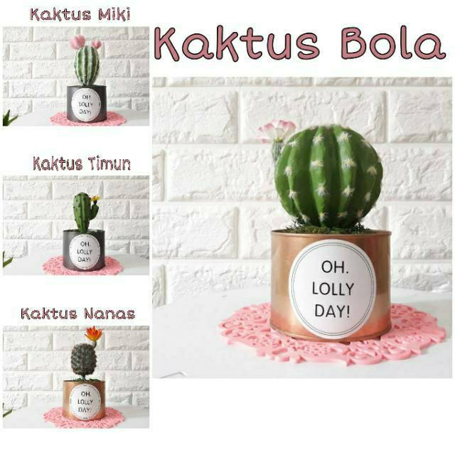  KAKTUS  HIAS  VAS KALENG Kaktus  hias  sekulen plastik  kaktus  