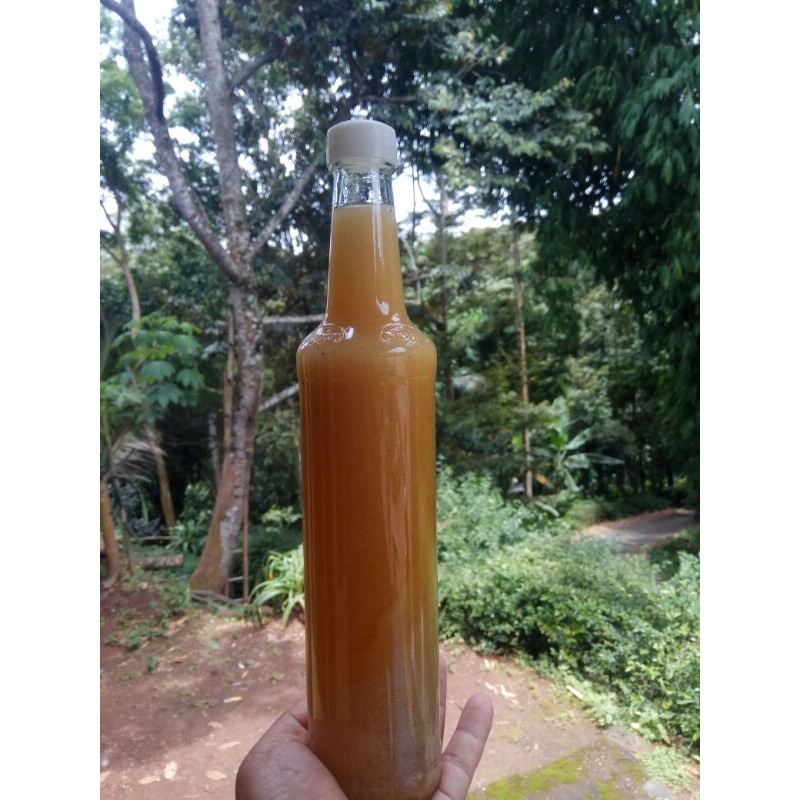 

MADU MURNI MADU ASLI MADU RANDU BOTOL MARJAN 360ml