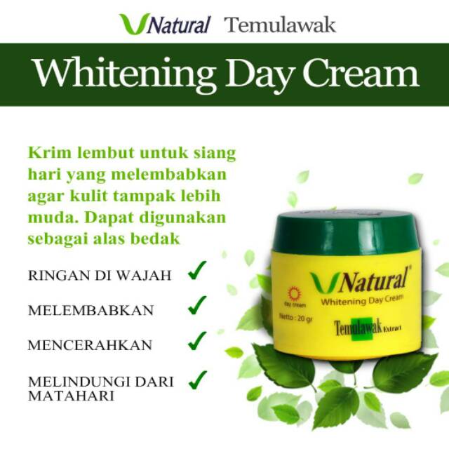 V Natural Cream Day Night BPOM Original