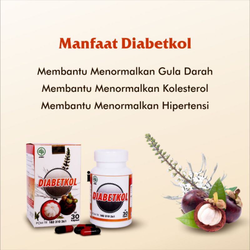 

DIABETKOL Solusi Aman Diabetes tanpa takut Komplikasi Menormalkan GULA DARAH KOLESTEROL HIPERTENSI