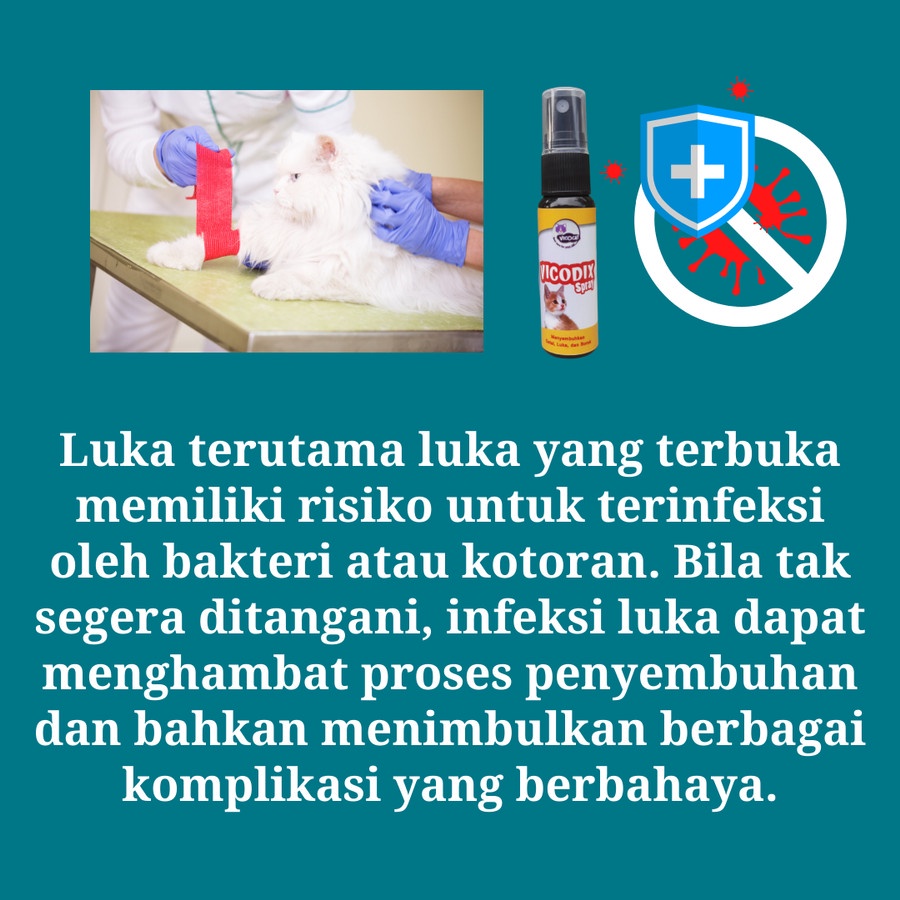 Obat luka kucing VICODIX Spray Jamur demodex gatal eksim koreng borok nanah bolong ampuh