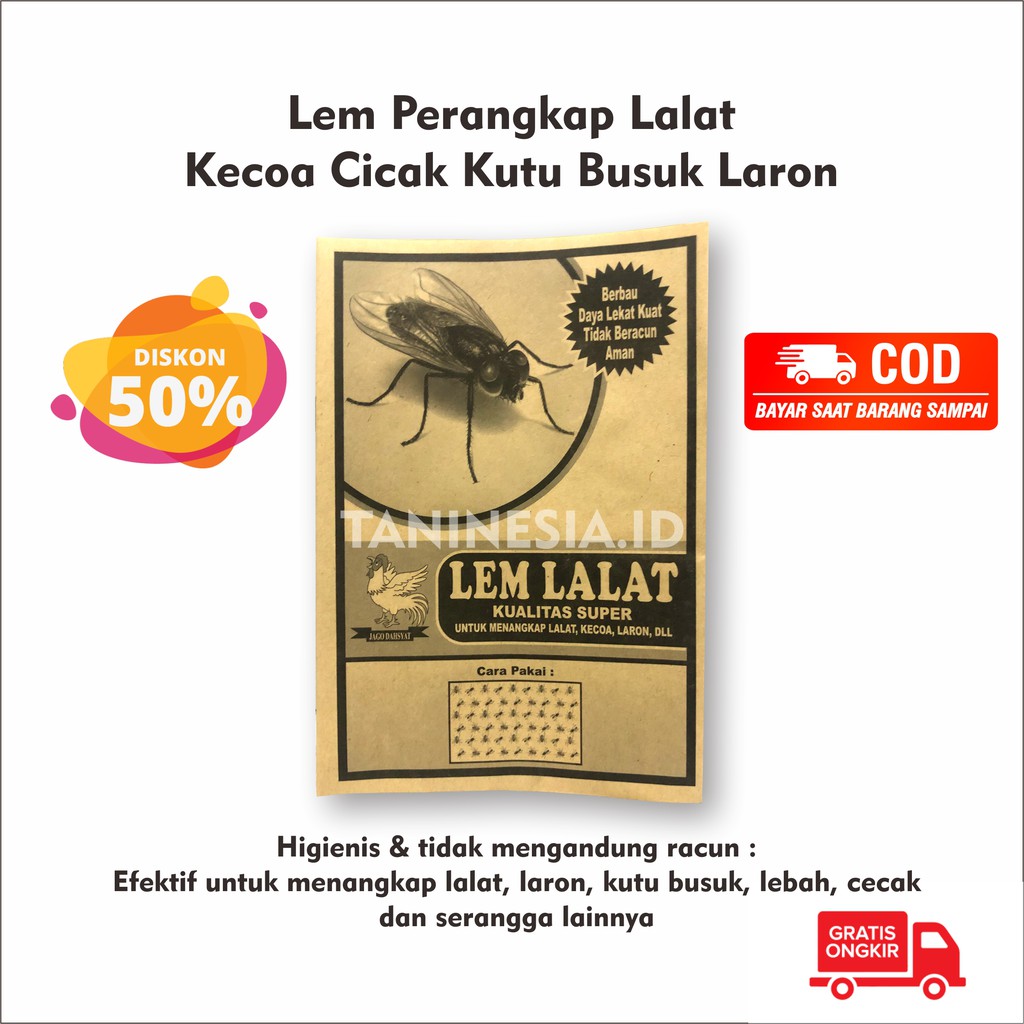 

LEM LALAT - GLUE PAD LALAT - MODEL PAPAN KERTAS SEKALI PAKAI