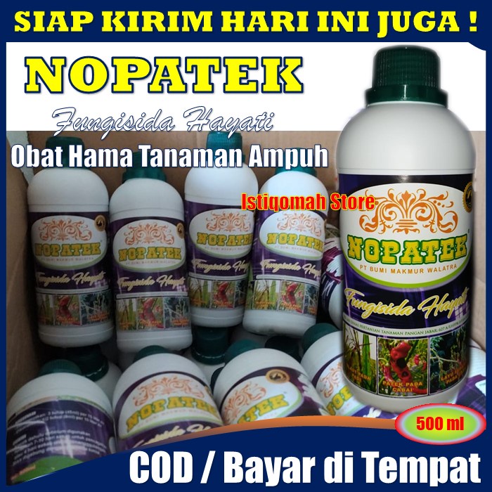 PROMO COD NOPATEK &amp; GLUMAX Perekat di Musim Hujan - NOPATEK Fungisida Hayati Obat Semprot Penyakit Kuning pada Padi - Obat Hama Padi Nopatek - obat penyakit daun kuning pada padi - obat padi kena penyakit kuning - obat penyakit kuning pada tanaman padi