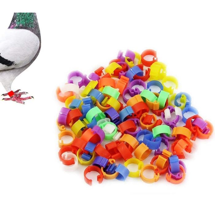 Gelang Penanda Kaki Burung Merpati Plastik 8mm Isi 20 Pcs Warna Acak