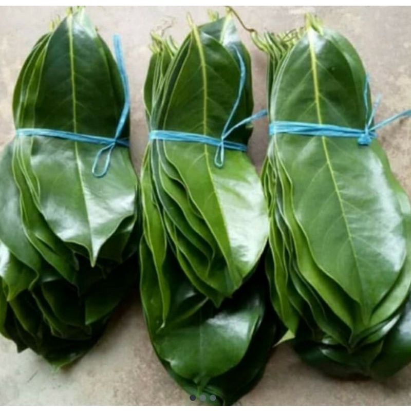 

daun Sirsak segar 500 gram di petik kalau ada yang order