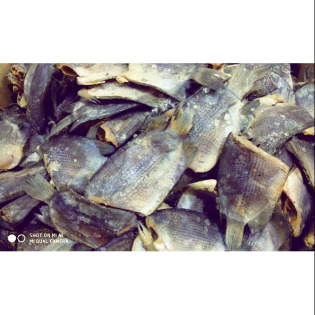 

Ikan Asin Biawan / Ikan Biawan Asin / Ikan Biawan Kapuas Hulu 500gr HASIL LAUT STORE