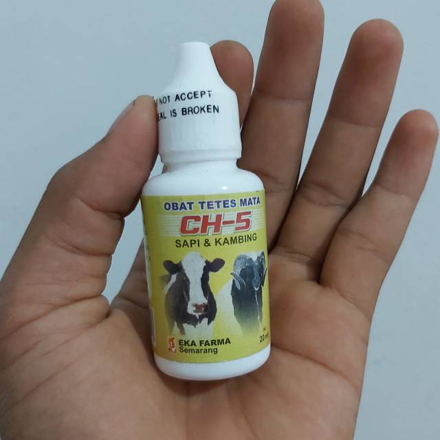 OBAT TETES MATA  CH-5 untuk SAPI dan DOMBA