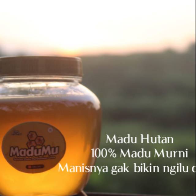 

Madu murni