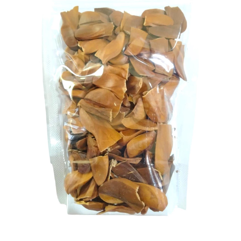 Biji benih bibit mahoni kering 250 gram biji mahoni kering