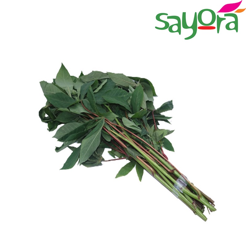 

Daun Singkong 1ikat