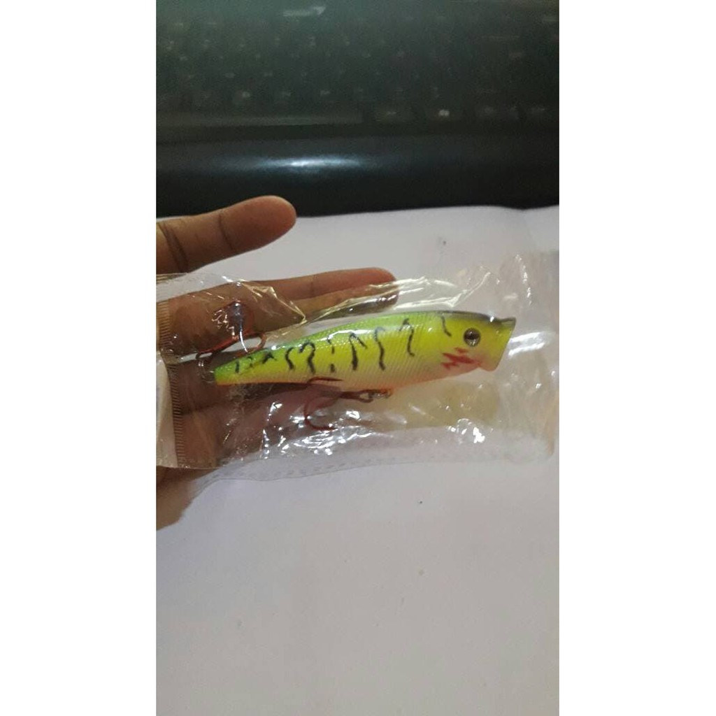 Popper Lure