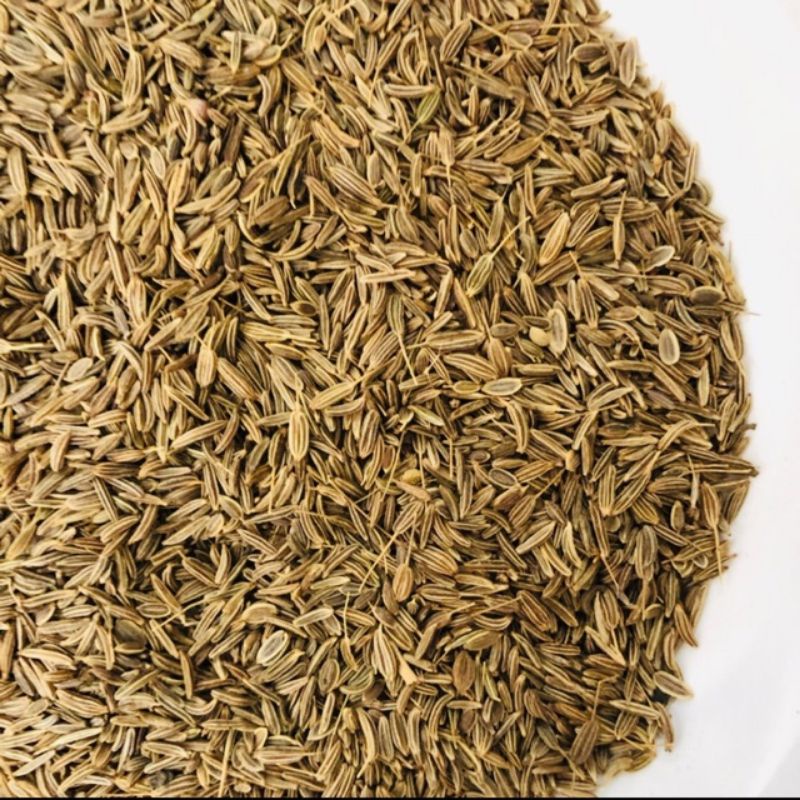 

JINTAN CARAWAY SEED