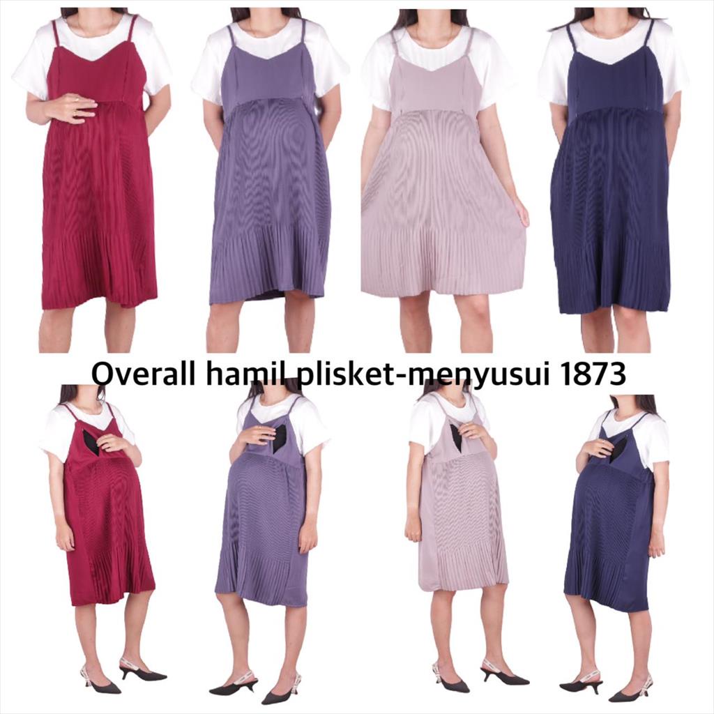 Overall Hamil Dan Menyusui 1873