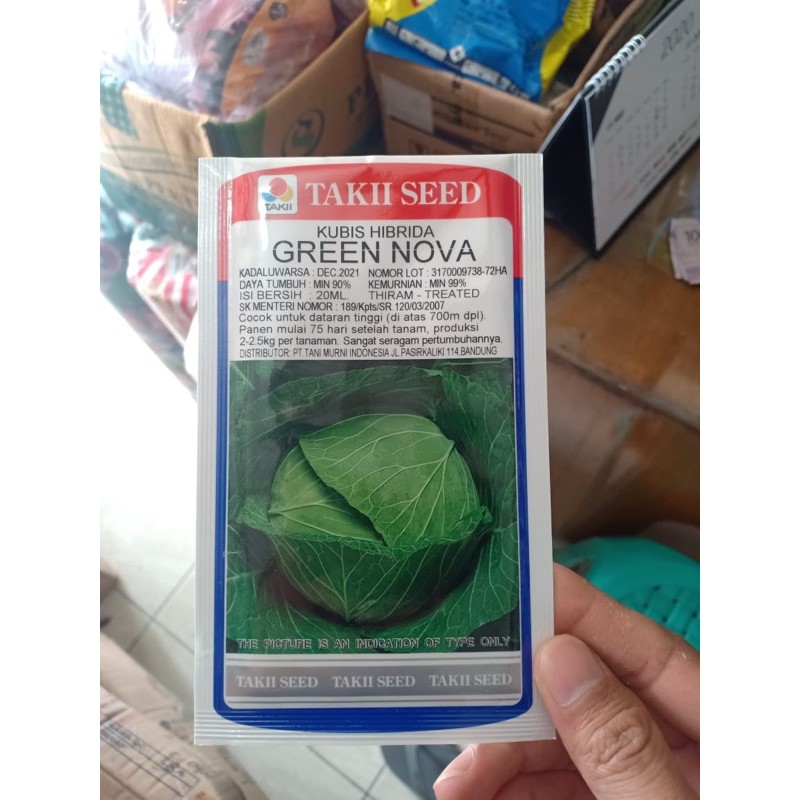 benih kol / kubis GREEN NOVA