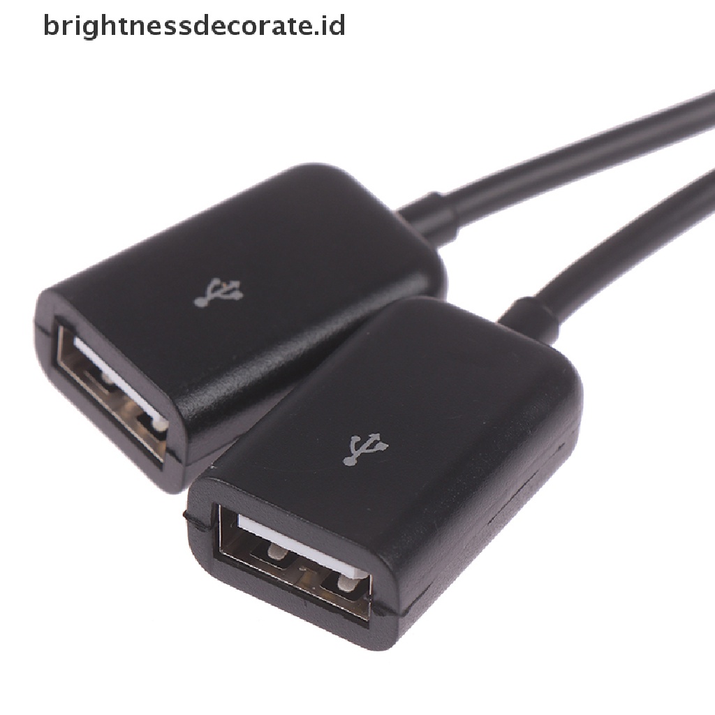 (Birth) Adaptor Splitter Kabel Micro Usb / Tipe C Ke 2 Otg Female