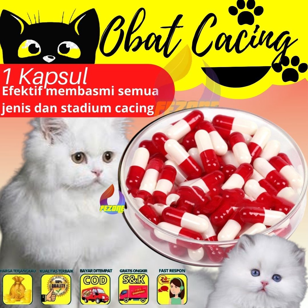 1 Capsul - Obat Cacing Kucing Obat Cacing Hewan Kitten Cat Mengobati Segala Jenis Cacing Hati Cacing Pita Dengan Cepat FEZONE