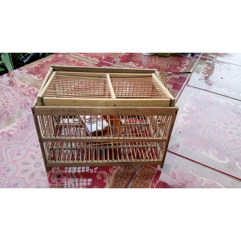 kandang jebakan burung ocehan mini/kecil