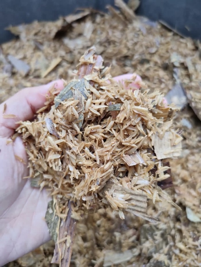 Sekam mentah daun bambu fermentasi