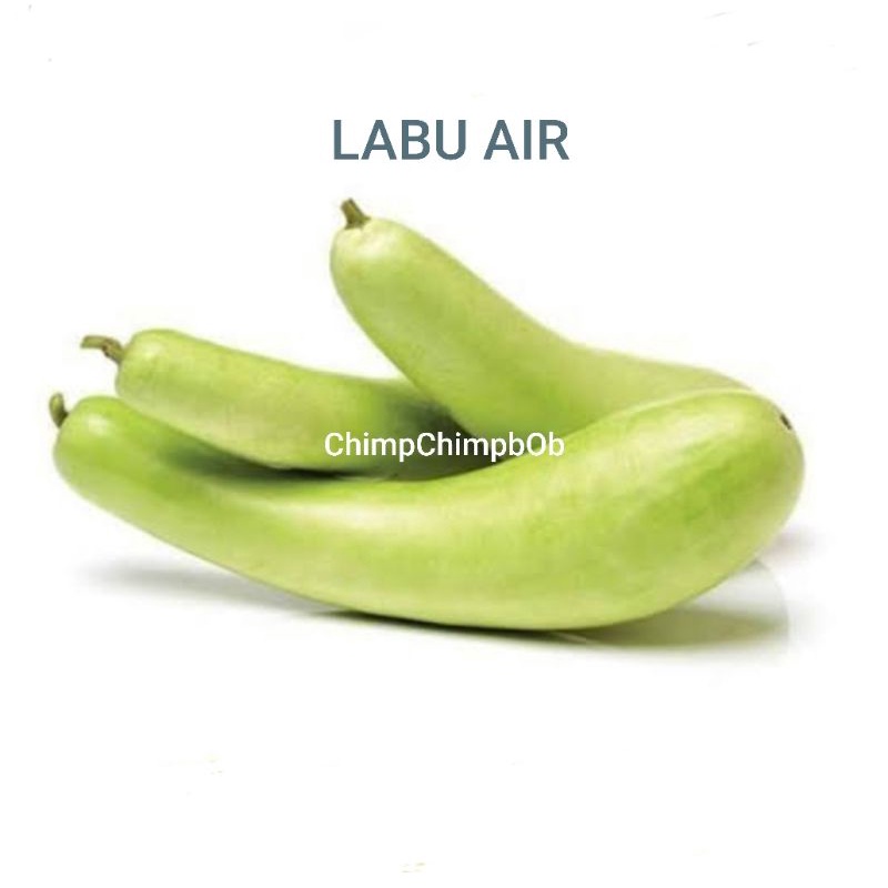 

LABU AIR SAYUR SEGAR