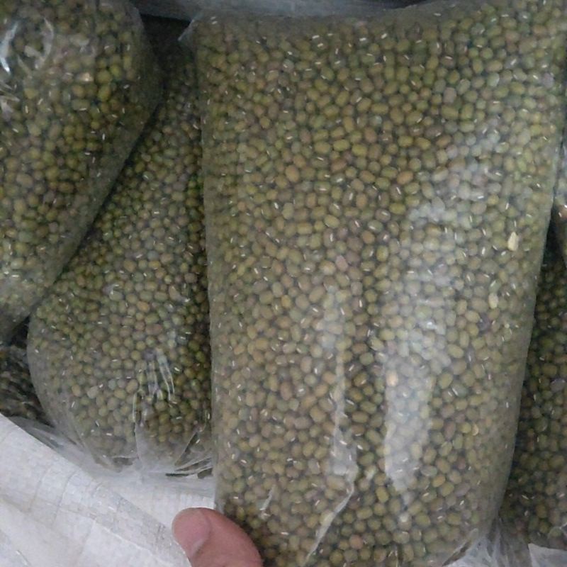 

kacang hijau super kualitas tinggi